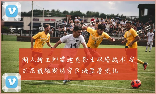 湖人新主帅雷迪克祭出双塔战术 安东尼戴维斯防守区域显著变化