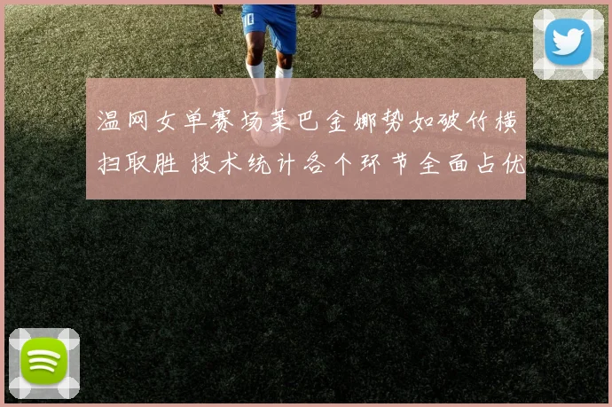 温网女单赛场莱巴金娜势如破竹横扫取胜 技术统计各个环节全面占优尽显统治力